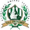 特斯利桑尼队标